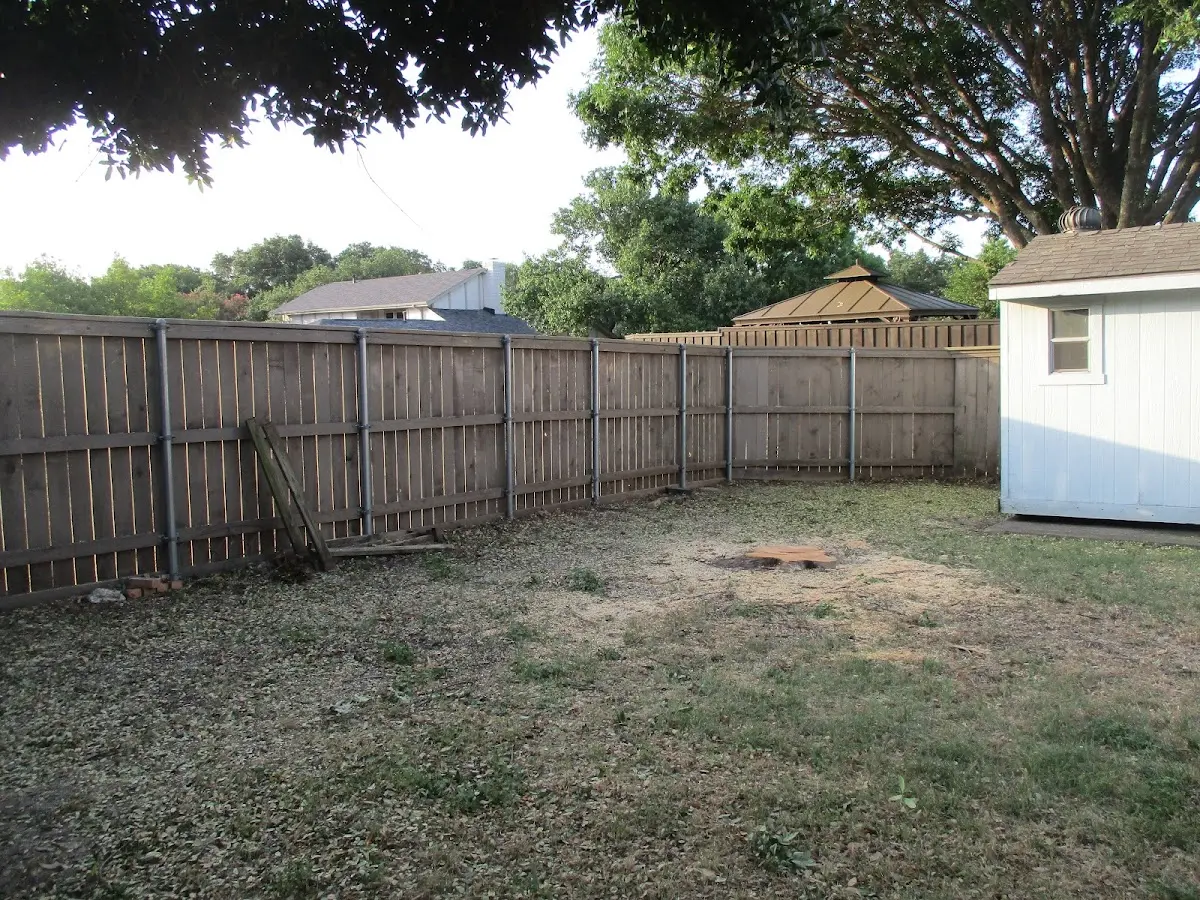 Cleared yard after professional tree removal in Orange Lake